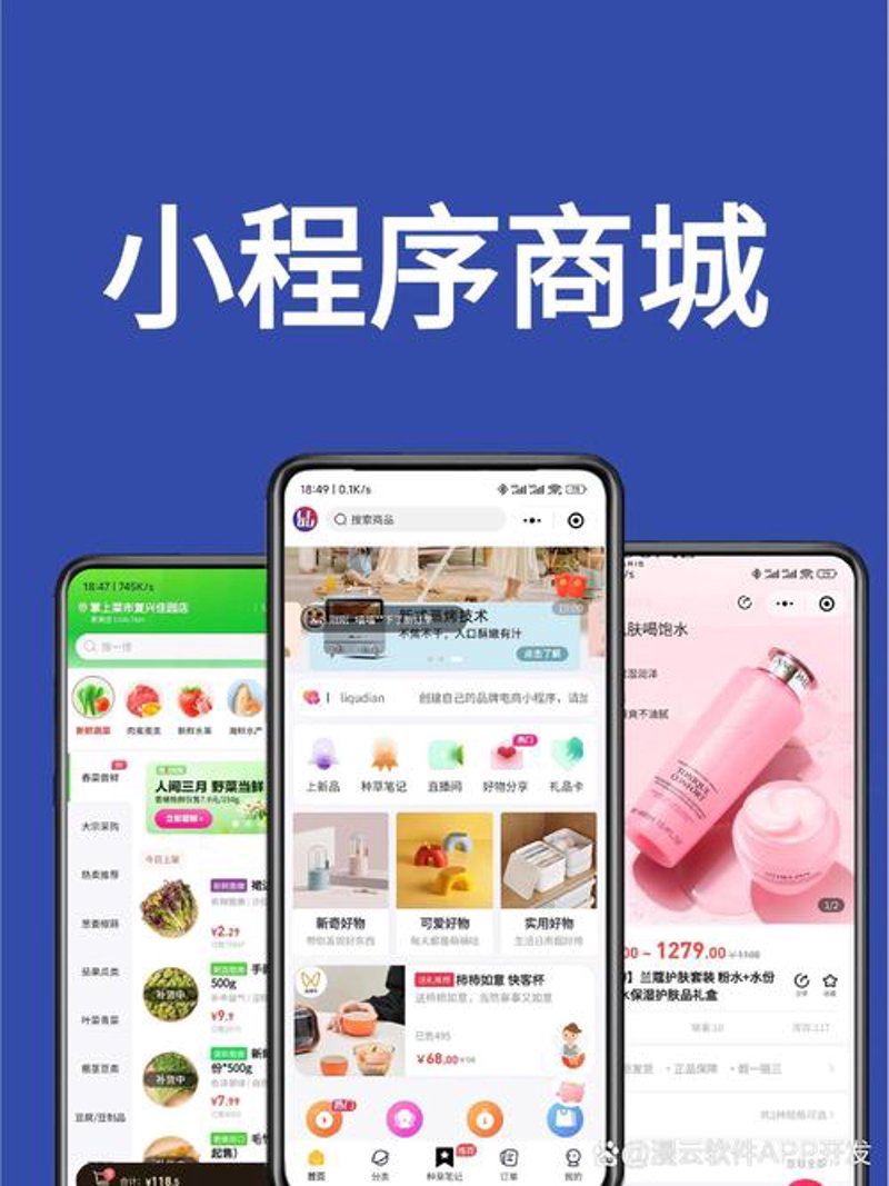 小程序开发：开启移动互联网新时代